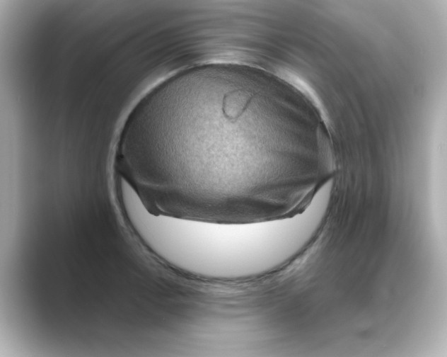 X0000088671138200706211846
