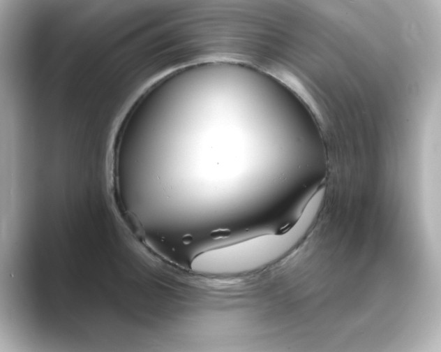 X0000088671140200706211846