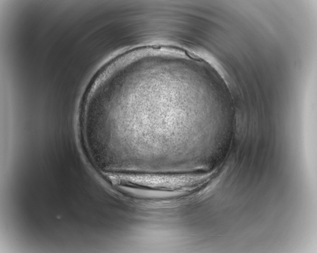 X0000088671142200706211846