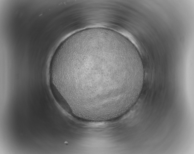 X0000088671143200706211846