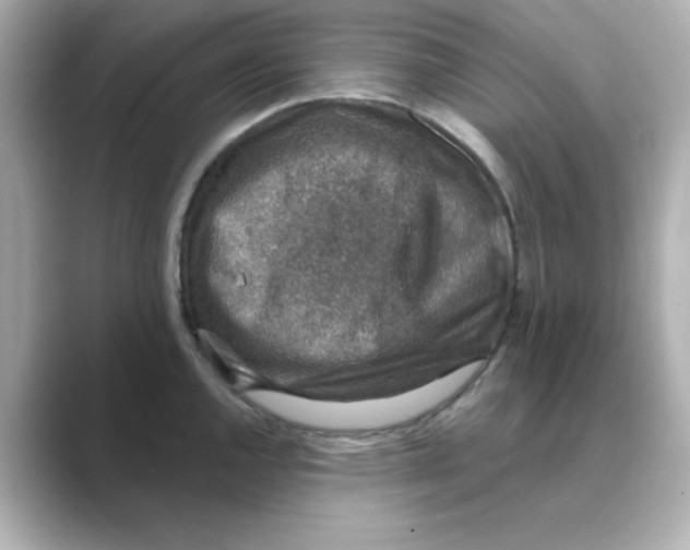 X0000088671144200706211846
