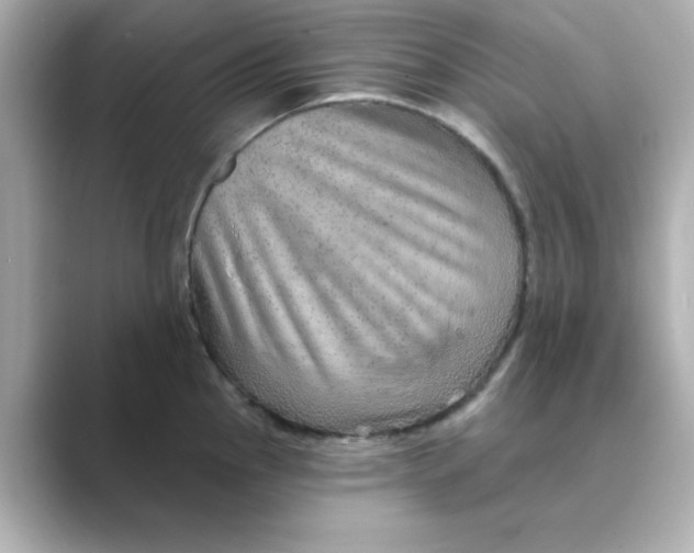 X0000088671145200706211846