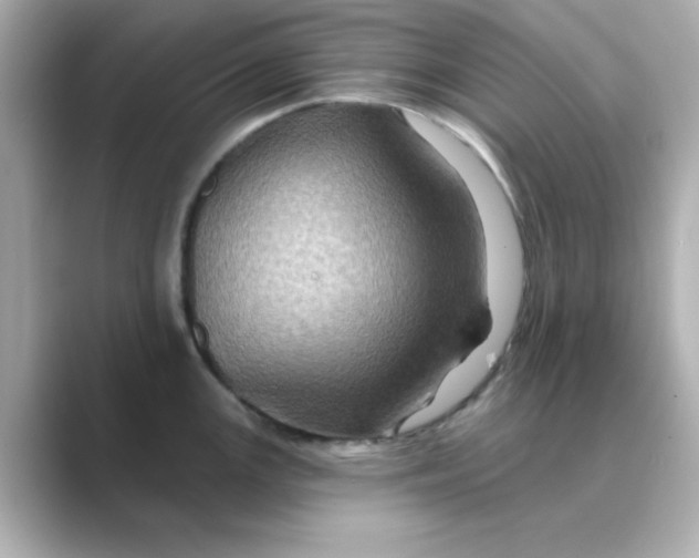 X0000088671147200706211846