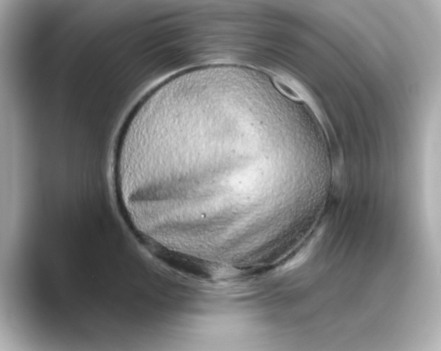 X0000088671149200706211846