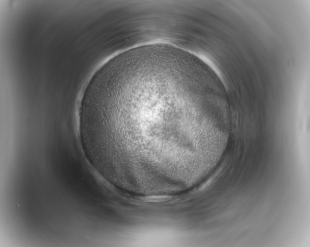 X0000088671151200706211846