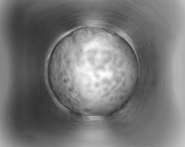 X0000088671152200706211846
