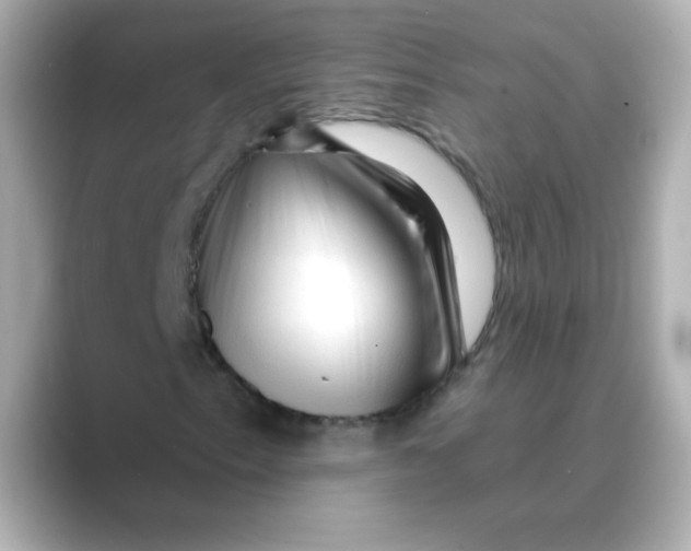 X0000088671153200706211846