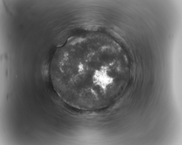 X0000088671154200706211846