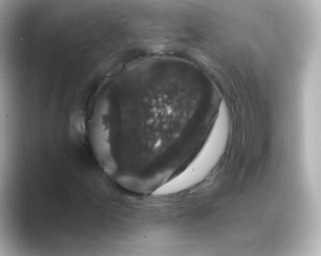 X0000088671155200706211846