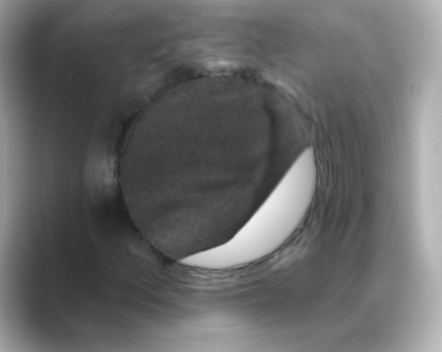 X0000088671156200706211846