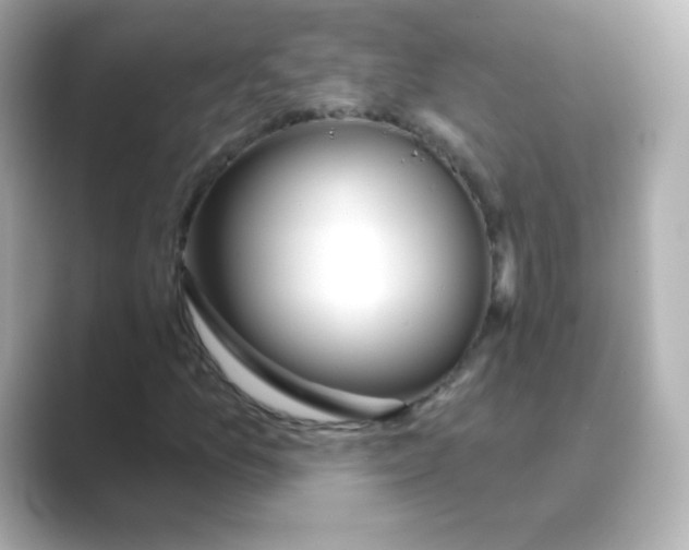 X0000088671157200706211846