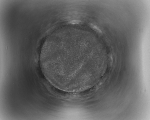 X0000088671158200706211846