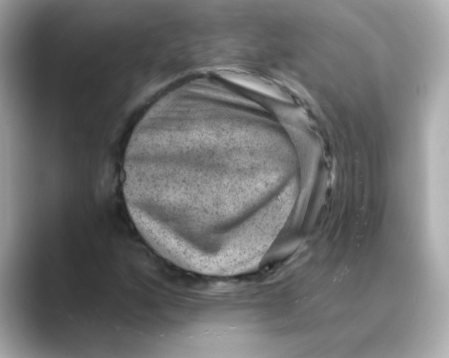 X0000088671160200706211846