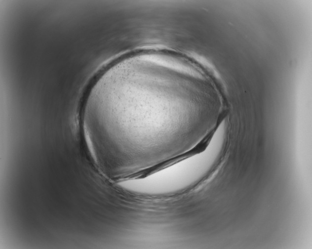 X0000088671167200706211845