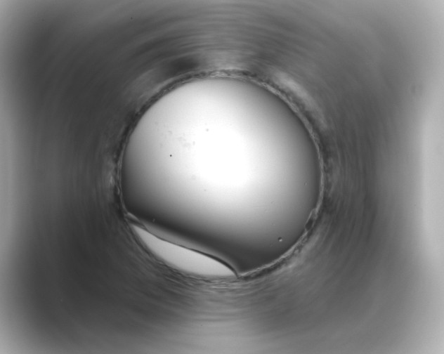 X0000088671169200706211845