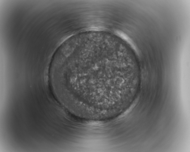 X0000088671170200706211845