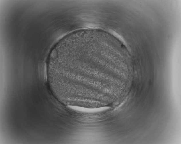 X0000088671171200706211845