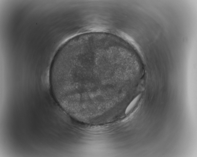 X0000088671174200706211845