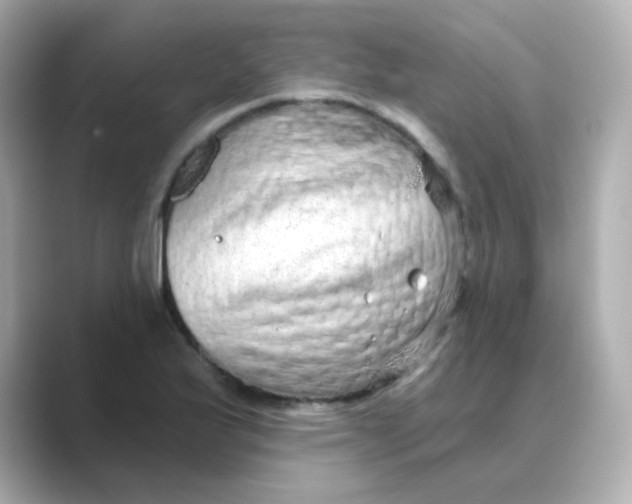X0000088671175200706211845