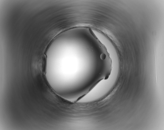 X0000088671177200706211845