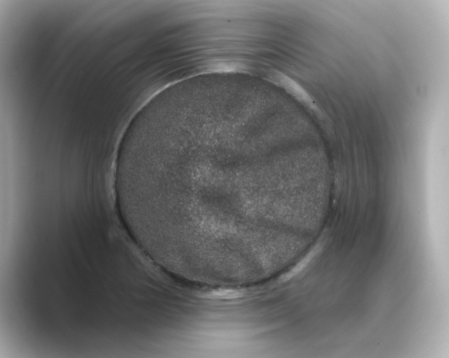 X0000088671178200706211845