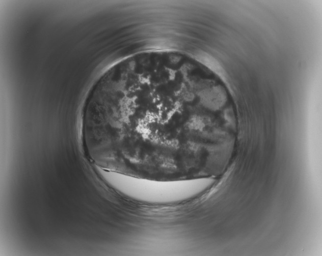 X0000088671179200706211845