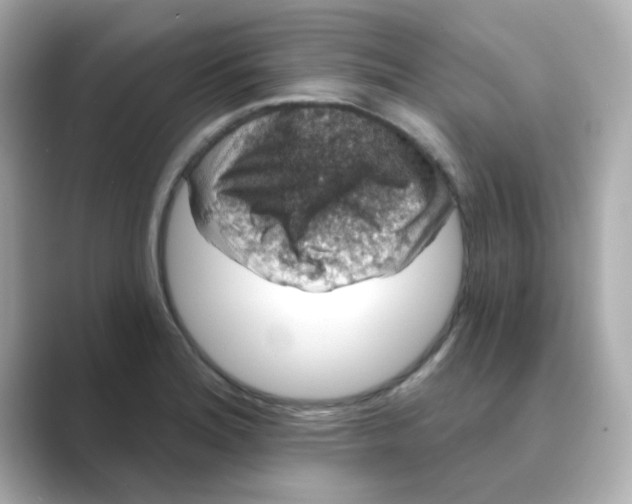 X0000088671180200706211845