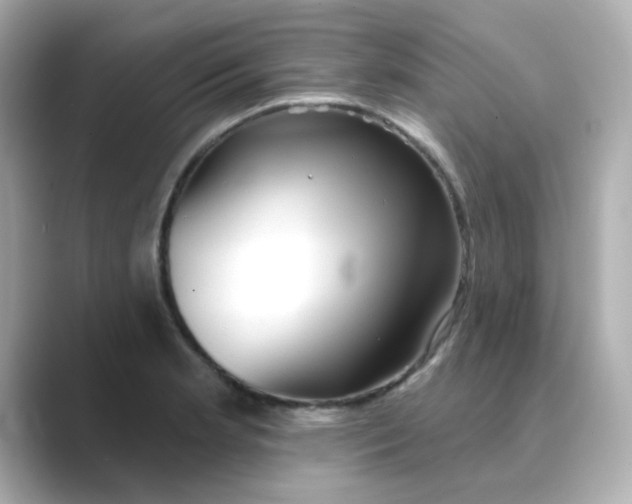 X0000088671181200706211845