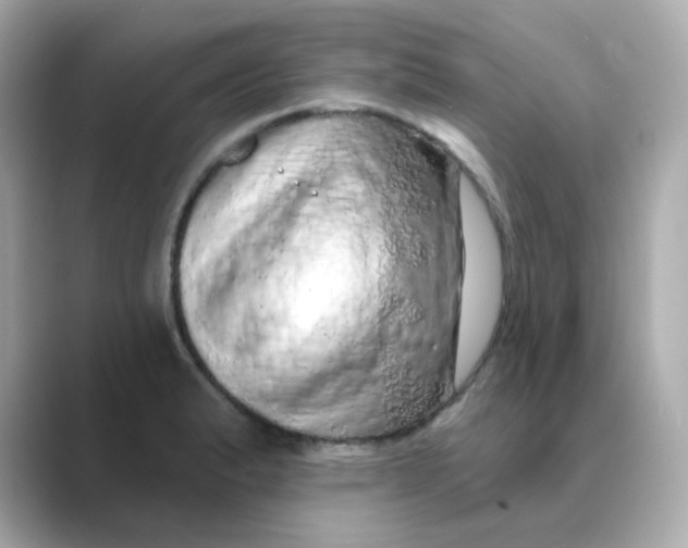 X0000088671183200706211845