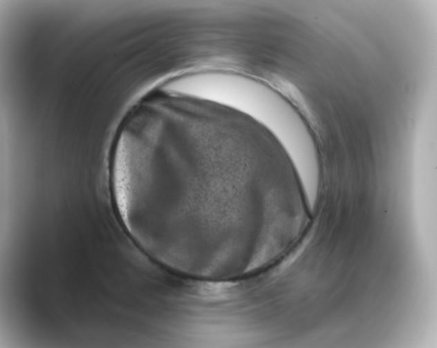 X0000088671184200706211845