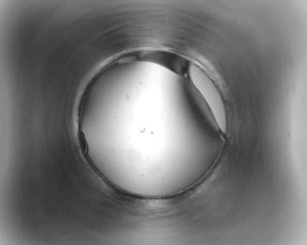 X0000088671188200706211845