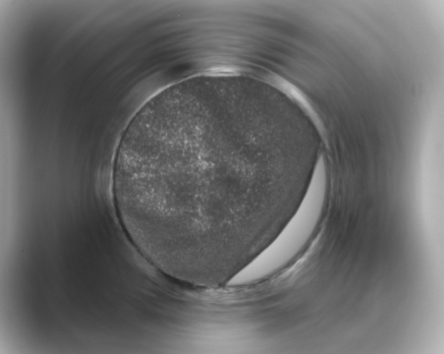 X0000088671194200706211845