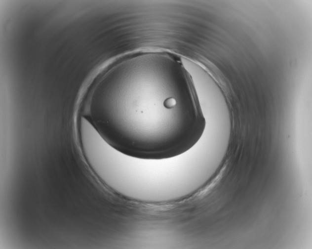 X0000088671196200706211845