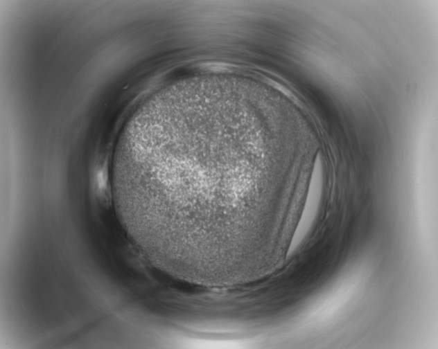 X0000088671198200706211845