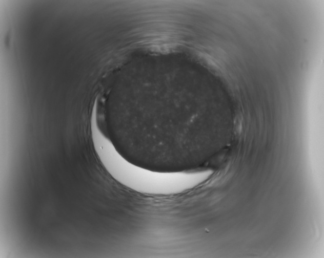 X0000088671202200706211845