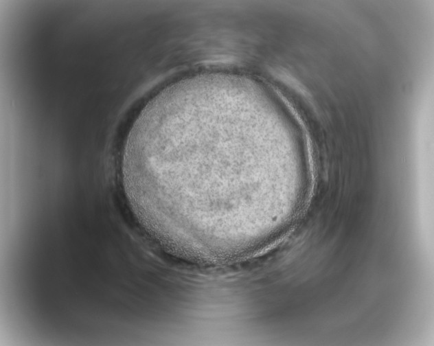 X0000088671208200706211845