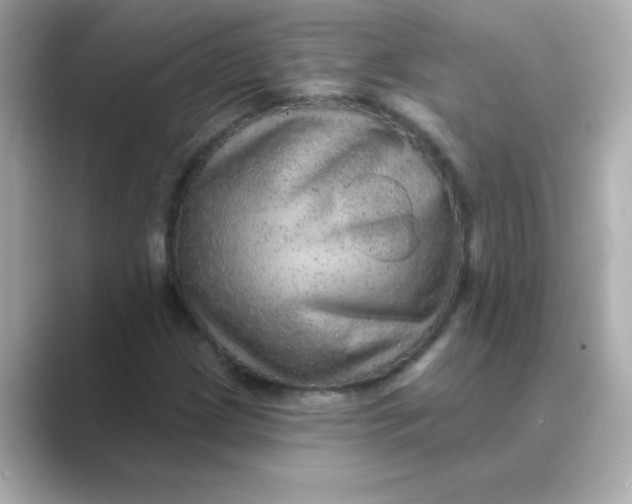 X0000088671209200706211845