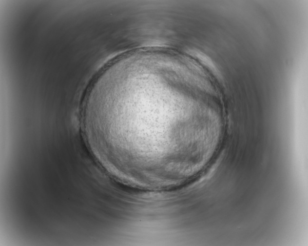 X0000088671212200706211845