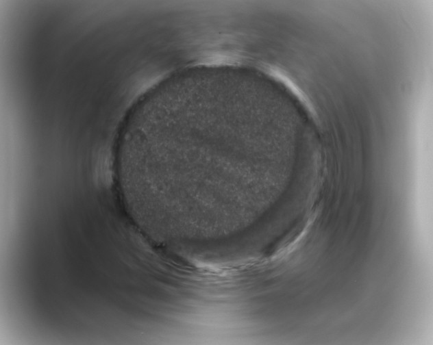 X0000088671213200706211845