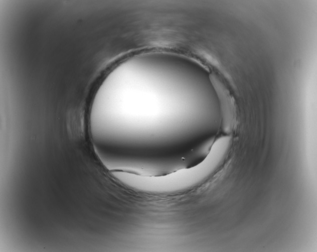 X0000088671214200706211845
