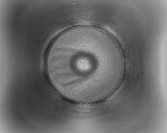 X0000088671215200706211845