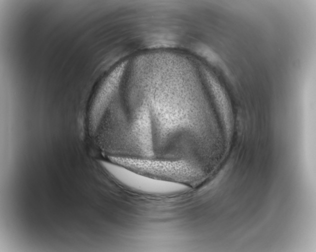 X0000088671217200706211845