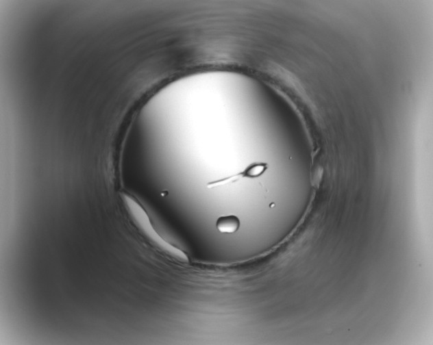X0000088671218200706211845