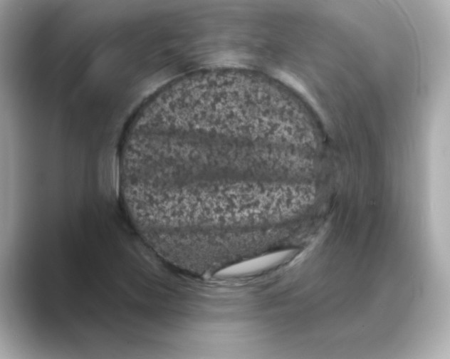X0000088671219200706211845