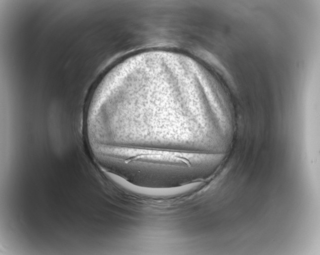 X0000088671220200706211845