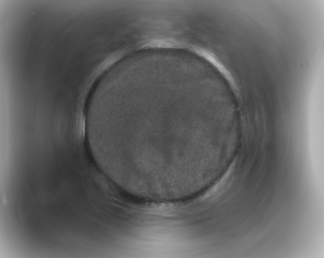 X0000088671221200706211845