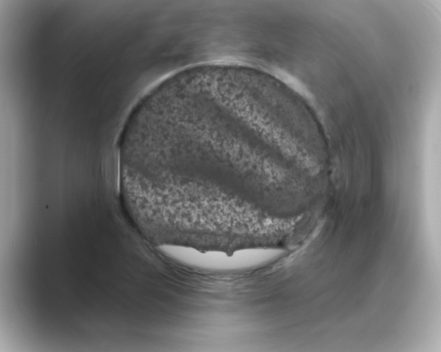 X0000088671223200706211845