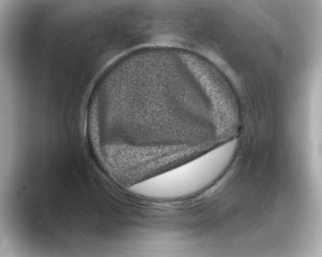 X0000088671224200706211845