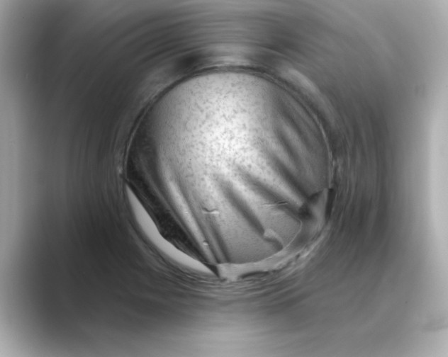 X0000088671225200706211845