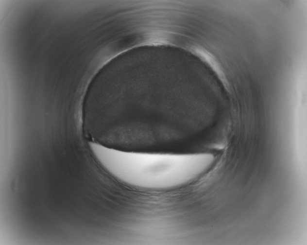 X0000088671226200706211845